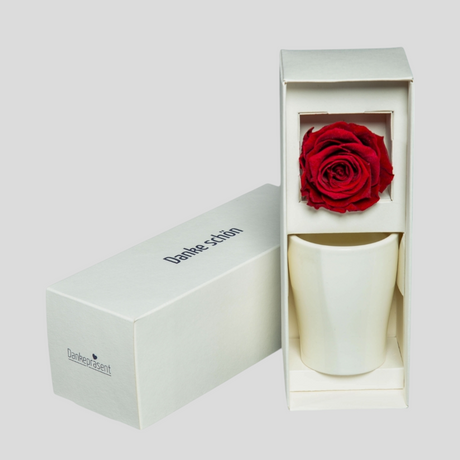 Wertschaetzendes Schenken mit einer Dankebox mit besonderer Infinity Rose im Übertopf - Düsseldorfer Kontor 