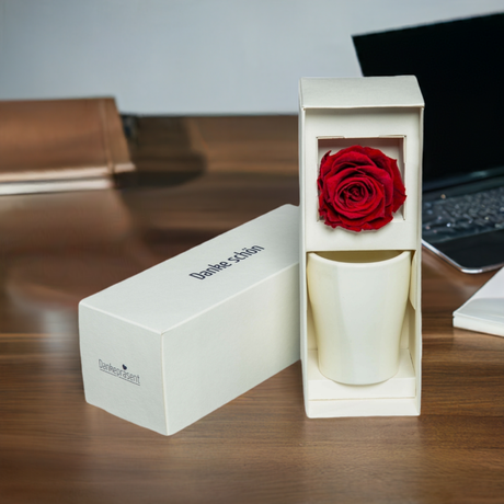 Dankepräsent mit einer edlen Infinity Rose im passenden Übertopf - Düsseldorfer Kontor ❤️ 